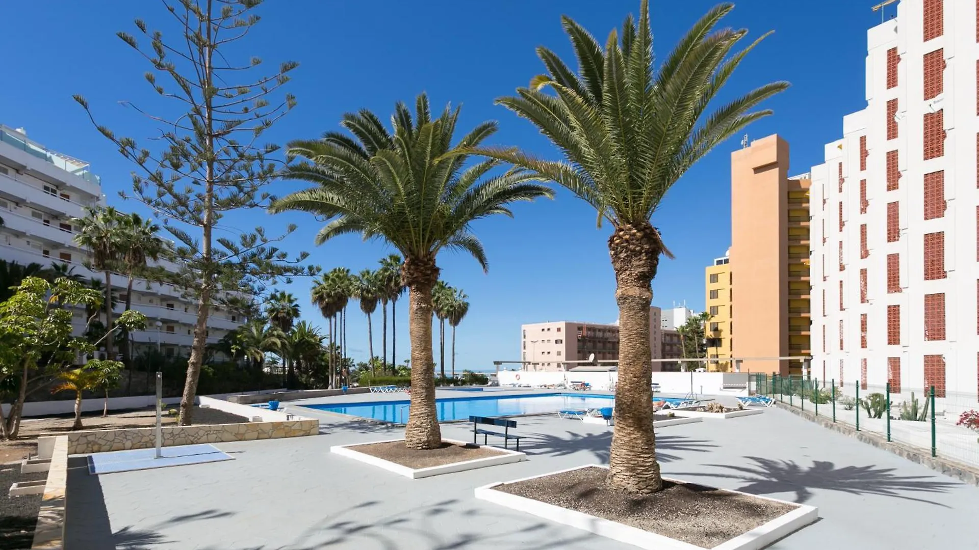Cosy Apartment Near The Sea In Las Americas Playa de las Americas  Spain